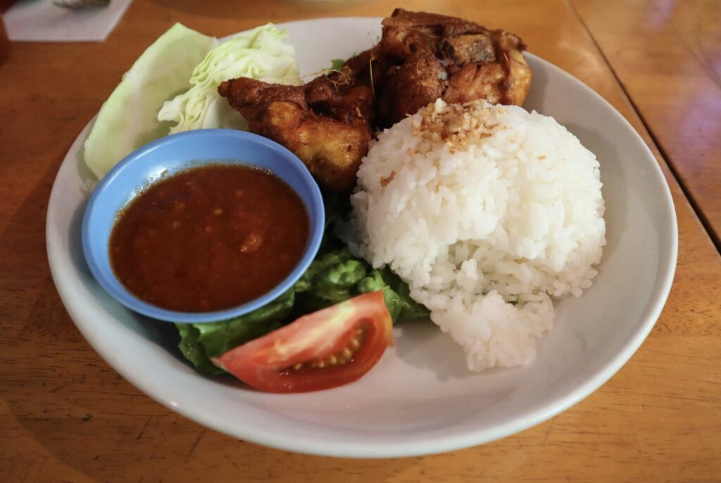 ご飯・蒸し鶏